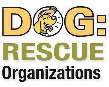More Than Just a Hound Dog: Rescue Organizations