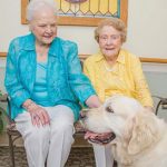 Therapy Dogs bring joy