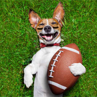 Fierce and Furry The 2018 Puppy Bowl