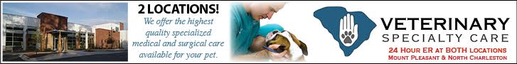 Veterinary Specialty Care 728x90