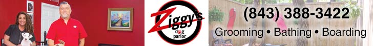 Ziggy's Dog Parlor 728x90
