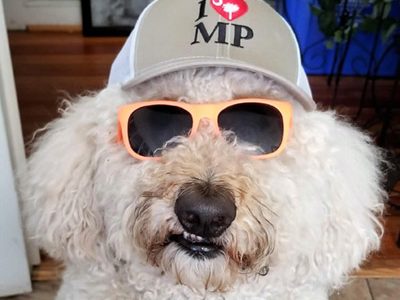 Charlie Takes Buddy Bill to a Look-Alike Contest