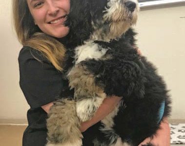 East Cooper Animal Hospital: Treating Pets As Family