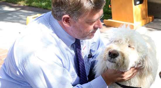 Blessing of the Dogs: Celebrating the Healing Contributions of Pet Therapy