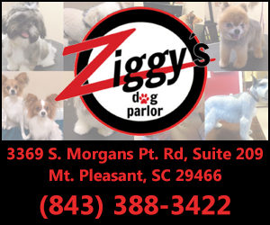 Ziggys Dog Parlor