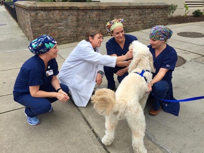 Medical staff getting their fix from a pet therapy dog