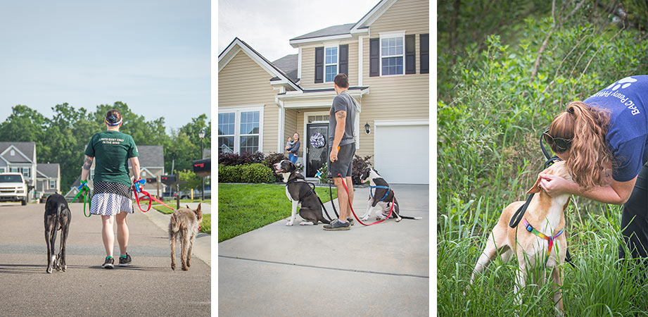 Left to right - Dog Walking, neighbors social distancing, and BAC Penny PAWS foster dog.