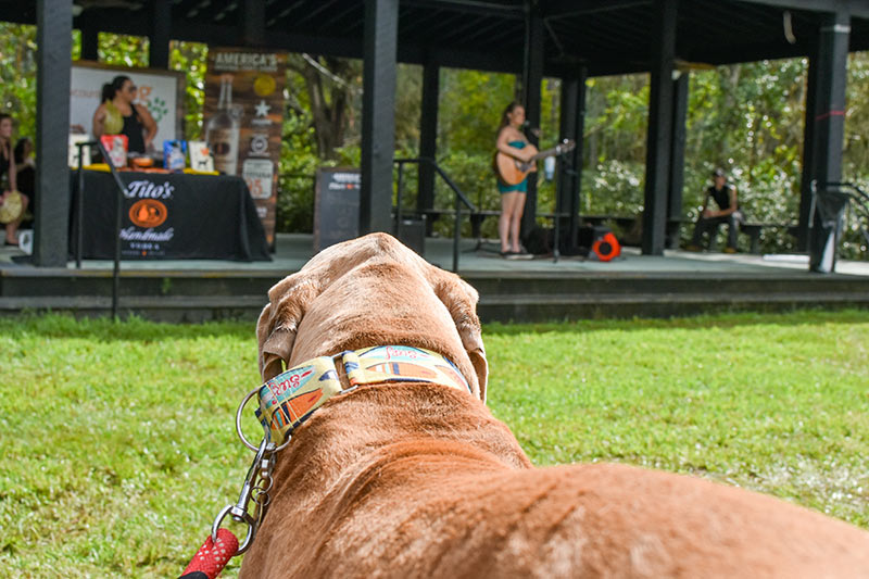 Lowcountry Dog Magazine's Fourth Annual Dog Adoption Event. Photo credit Stono Tides Photography.