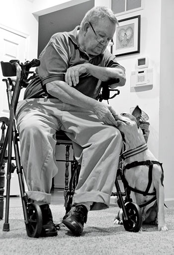 man in a wheelchair with his service dog. Photo courtesy of Jeanne Taylor Photography.