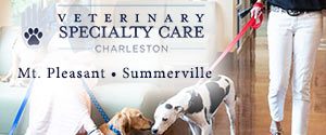 Veterinary Specialty Care. Locations in Mount Pleasant and Summerville, SC.