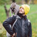 A cat standing on his person's shoulder.