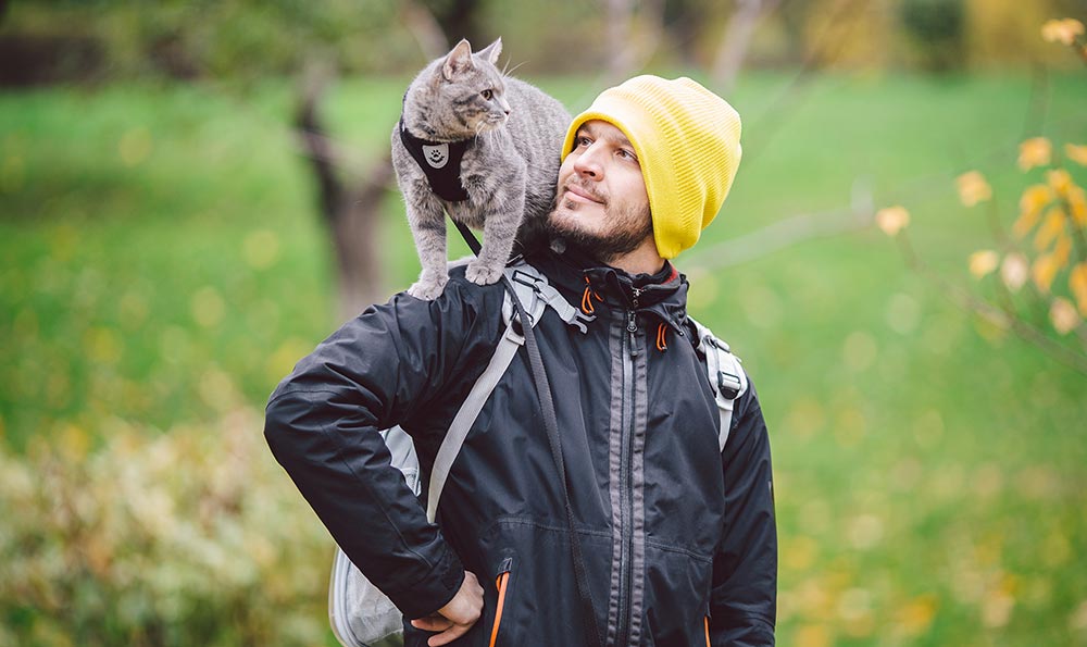 A cat standing on his person's shoulder.