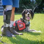 John Beahm with his PTSD service dog, Sadie.