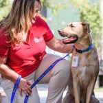 An MUSC volunteer with a therapy dog. Photo provided by Jeanne Taylor Photography.