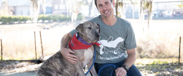Animal Planet’s Travis Brorsen Headlines Charleston Animal Society’s Celebrity Paws in the Park on March 19th