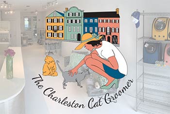 The Charleston Cat Groomer was named in 2022 Best of Mount Pleasant