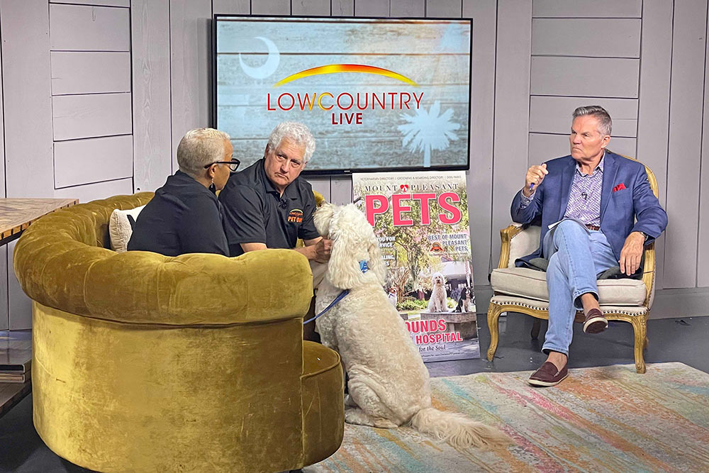 Cathy Bennett and a beloved MUSC therapy dog join publisher Bill Macchio and Lowcountry Live’s Tom Crawford.